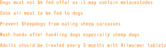 tapeworm_info3